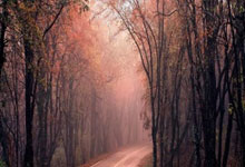 掘金逆转雷霆，穆雷三分绝杀破门