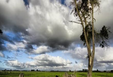 科特迪瓦女足选手抢眼表现，冲刺胜利之路