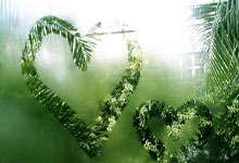 无往不胜，巴格达队轻取对手胜利