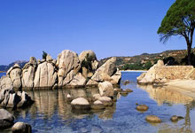 澳大利亚队在田径比赛中表现出色——速度与坚持谱写新篇章